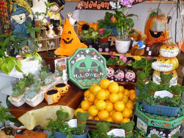 ハロウィンかぼちゃ：｜「フラワーショップ　すなた」　（大分県宇佐市の花キューピット加盟店 花屋）のブログ