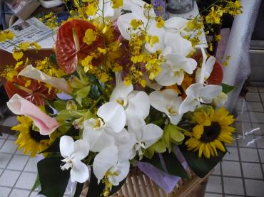 らんちゃんにお届しました。｜「フラワーショップ　すなた」　（大分県宇佐市の花キューピット加盟店 花屋）のブログ