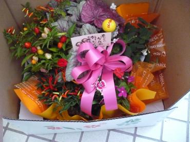今日のご注文・・・ありがとうございました。｜「フラワーショップ　すなた」　（大分県宇佐市の花キューピット加盟店 花屋）のブログ