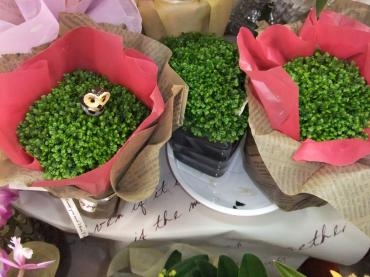 春がきました。｜「フラワーショップ　すなた」　（大分県宇佐市の花キューピット加盟店 花屋）のブログ