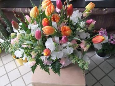 春のお花｜「フラワーショップ　すなた」　（大分県宇佐市の花キューピット加盟店 花屋）のブログ