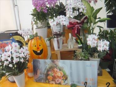 敬老の日ありがとうございました。｜「フラワーショップ　すなた」　（大分県宇佐市の花キューピット加盟店 花屋）のブログ