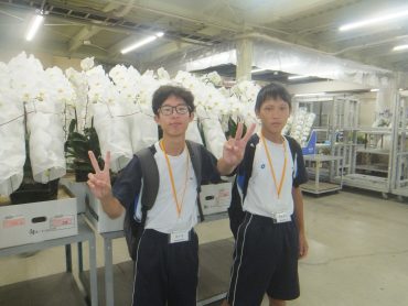 髙橋君　高木君花屋体験2日目｜「フラワーショップ　すなた」　（大分県宇佐市の花キューピット加盟店 花屋）のブログ