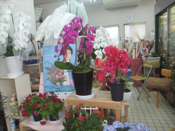 「フラワーショップ　すなた」　（大分県宇佐市）の花屋店舗写真2